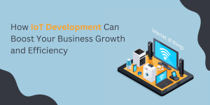 How IoT Development Can Boost Your Business Growth and Efficiency